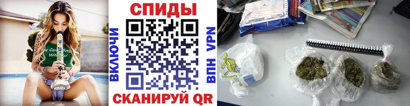 БУТИРАТ бутандиол  блэк спрут зеркало  Бакал  цены  