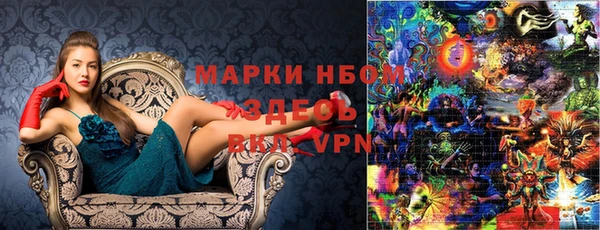 шишки Алексин