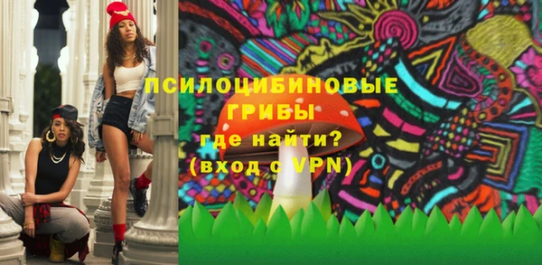 шишки Алексин