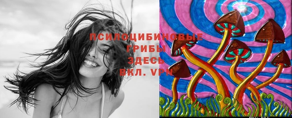 ешки Алзамай
