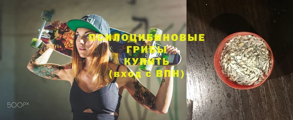 ешки Алзамай