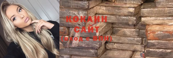 ешки Алзамай