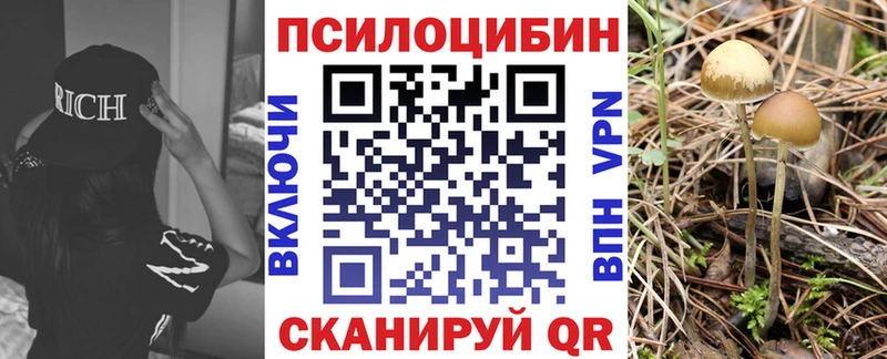 Псилоцибиновые грибы Psilocybine cubensis  мориарти клад  Бакал 